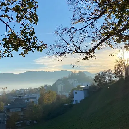 Ferienhaus Gmunden